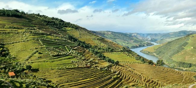 RemasterDirector_1a5c03258