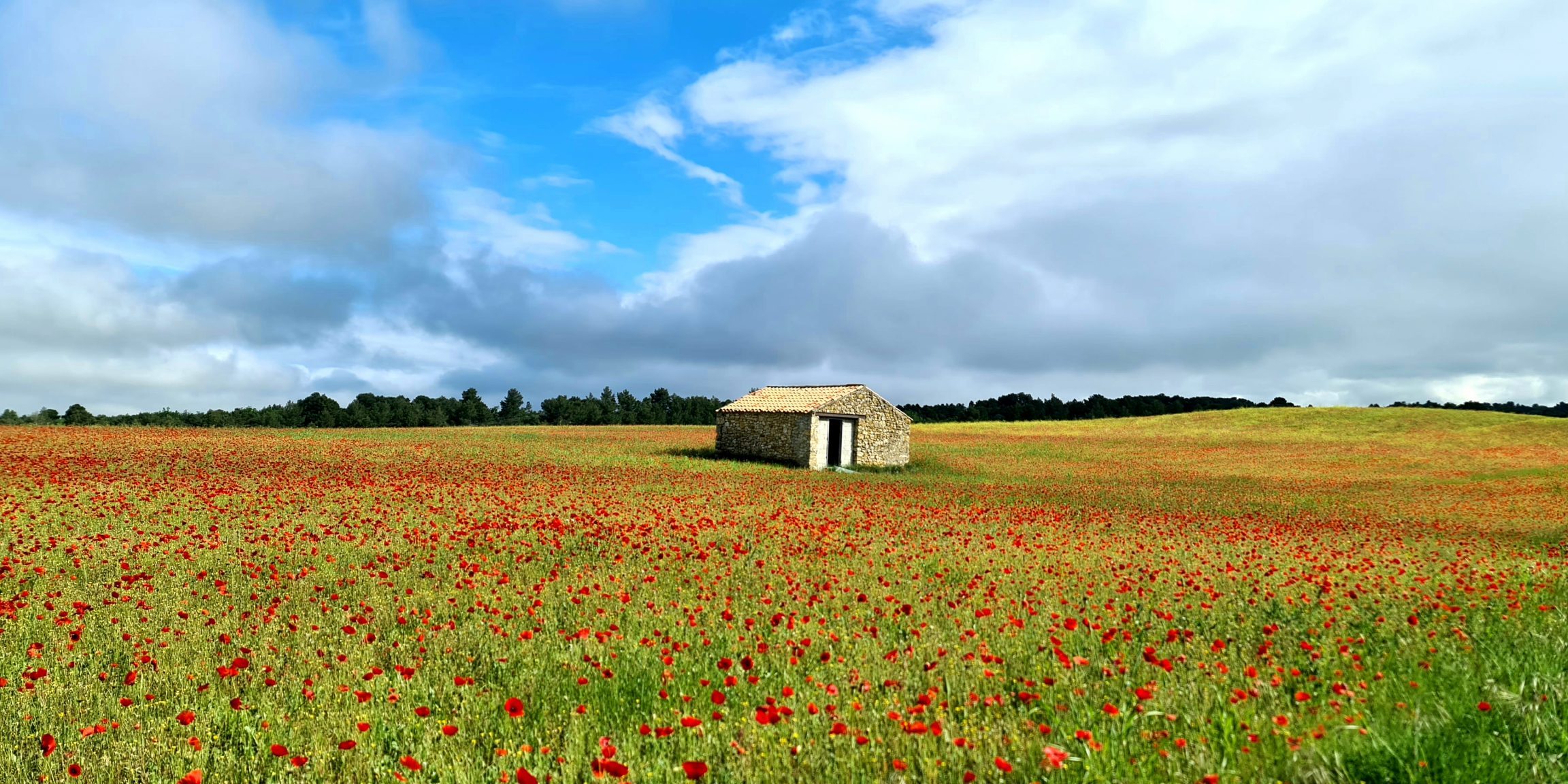 RemasterDirector_1a5c03258