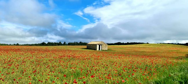 RemasterDirector_1a5c03258